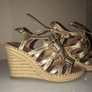 Gold & Rope Sugar Wedges